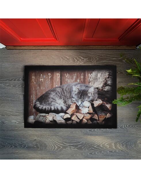 Tapis d'entrée chat - l60 x l40 cm