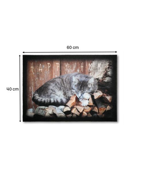 Tapis d'entrée chat - l60 x l40 cm