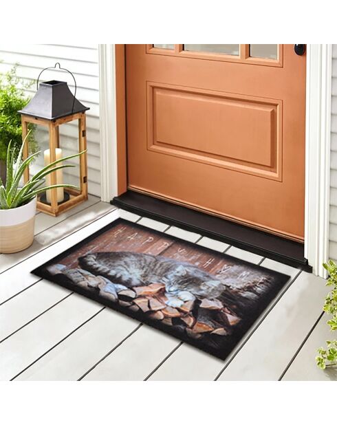 Tapis d'entrée chat - l60 x l40 cm