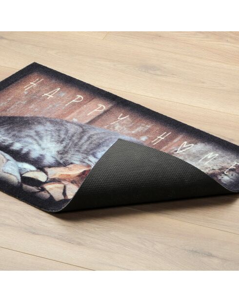 Tapis d'entrée chat - l60 x l40 cm