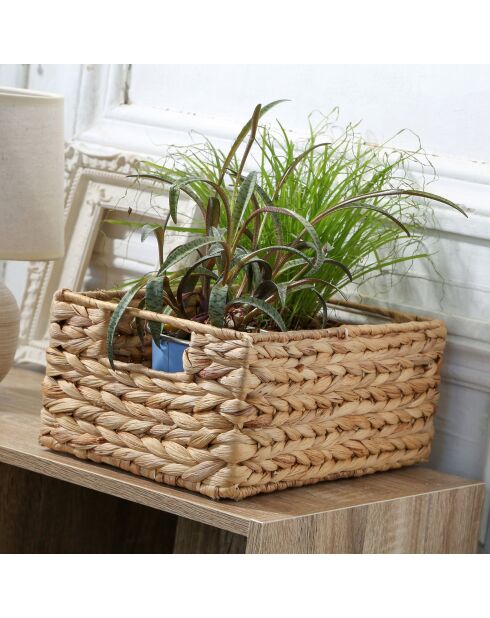 Panier en jacinthe d'eau armature métal - hauteur 13 cm