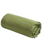 Drap Housse Celeste pistacchio