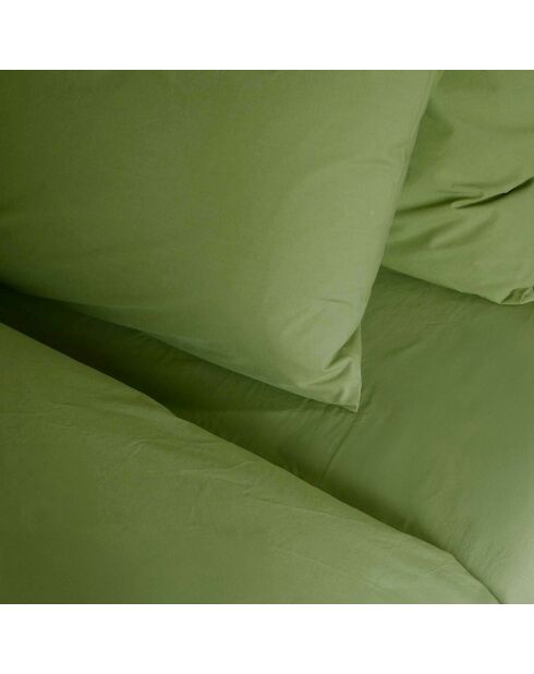 Drap Housse Celeste pistacchio