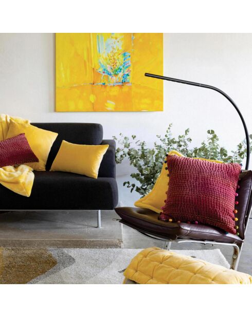 Coussin Gastounet griotte