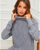 Robe Charlotte grise