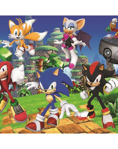 Puzzle Sonic & ses amis 160 pièces - 6 ans et +