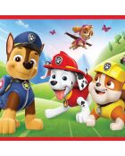 2 Puzzles + Mémos Pat'Patrouille, les chiens à l'action 30 et 48pcs + Mémos 24 cartes - 3 ans et +