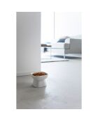 ciotola in ceramica per alimenti per animali bianca - 11x11x8 cm