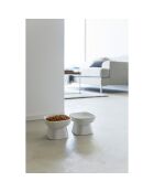 ciotola in ceramica per alimenti per animali bianca - 11x11x8 cm