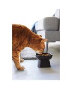 Ciotola in ceramica per alimenti per animali nera - 11x11x8 cm