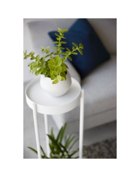 Support à plantes à 2 niveaux avec roulettes blanc - 25x26.5x70 cm