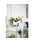 Soporte para plantas de 2 niveles con ruedas blancas - 25 x 26,5 x 70 cm