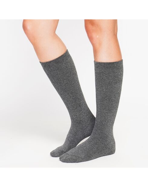 Chaussettes Marine loup