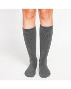 Chaussettes Marine loup