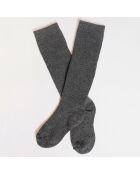 Chaussettes Marine loup