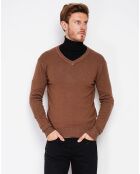 Pull Pierre marron