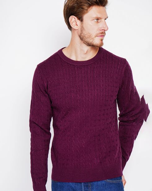 Pull Pierre bordeaux