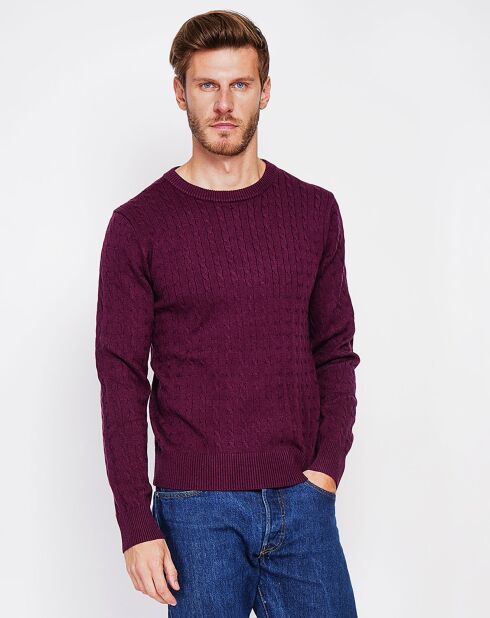 Pull Pierre bordeaux