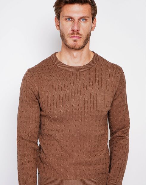 Pull Pierre marron