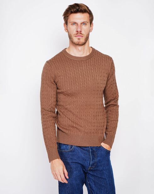 Pull Pierre marron