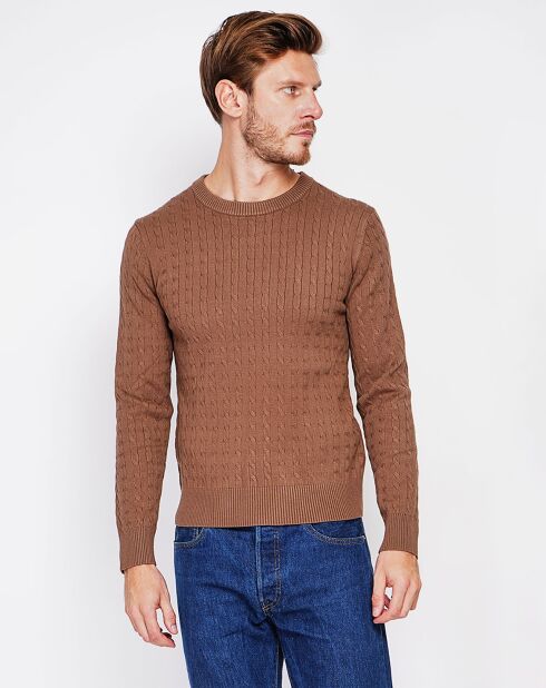 Pull Pierre marron