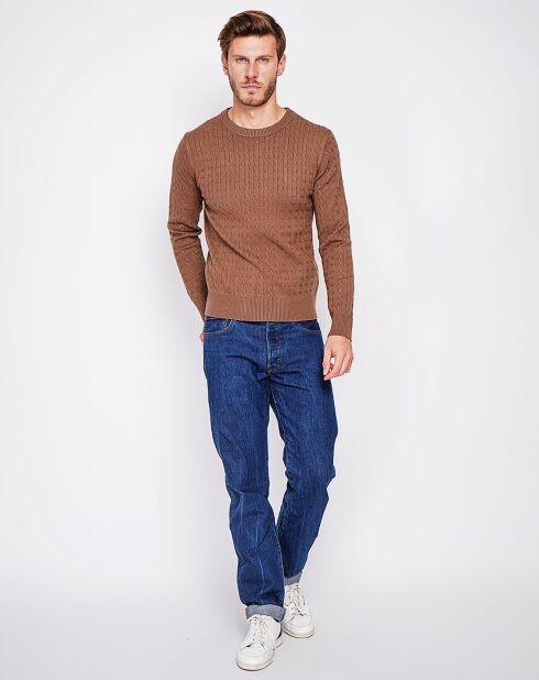 Pull Pierre marron