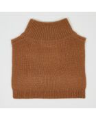 Plastron 100% Cachemire col montant en côtes Carla mocha