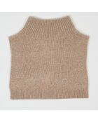 Plastron 100% Cachemire col montant en côtes Carla chestnut