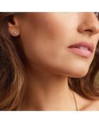 Boucles d'oreilles Frozinone en Acier & Cristal dorées