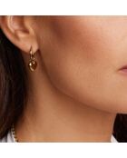 Boucles d'oreilles Viterbo en Acier dorées