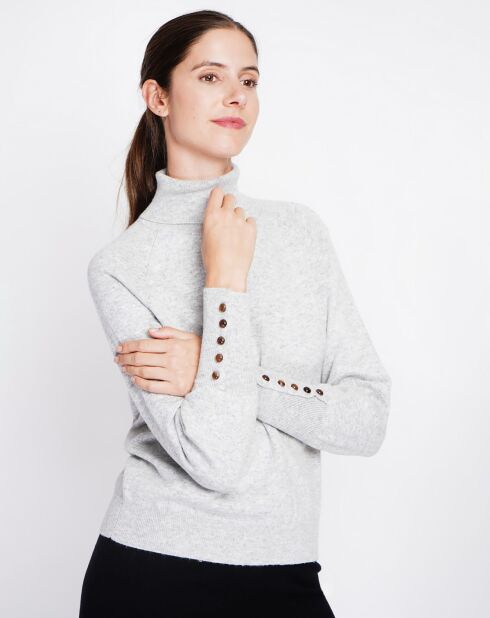 Pull Sandy givre