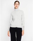 Pull Sandy givre