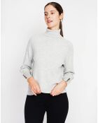 Pull Sandy givre