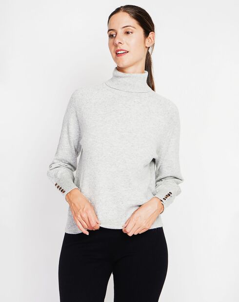 Pull Sandy givre