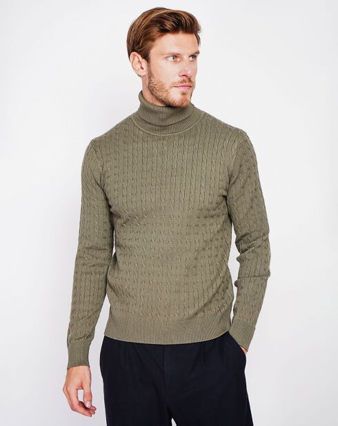 Pull Paola kaki