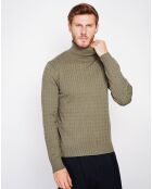 Pull Paola kaki