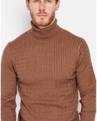 Pull Paola marron