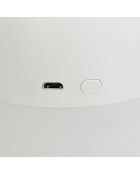 Kawaii witte LED-diffuser voor katten