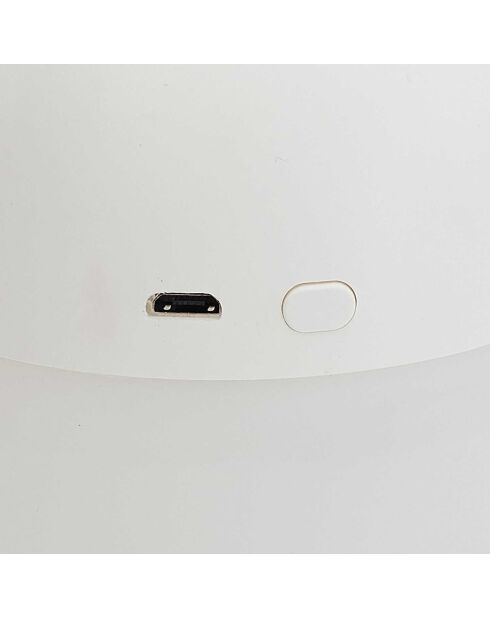 Kawaii witte LED-diffuser voor katten