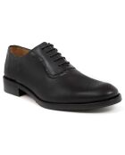 Derbies Oxford en Cuir Dicoco noirs