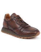 Sneakers en Cuir Milani camel