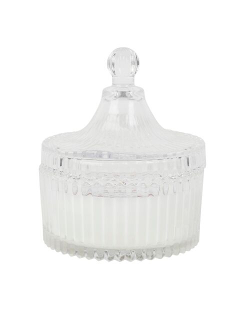 Bougie tradition senteur abricot roussillon  blanche - 180g