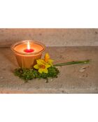 Bougie gourmande senteur cannelle orange naturel  - 220g