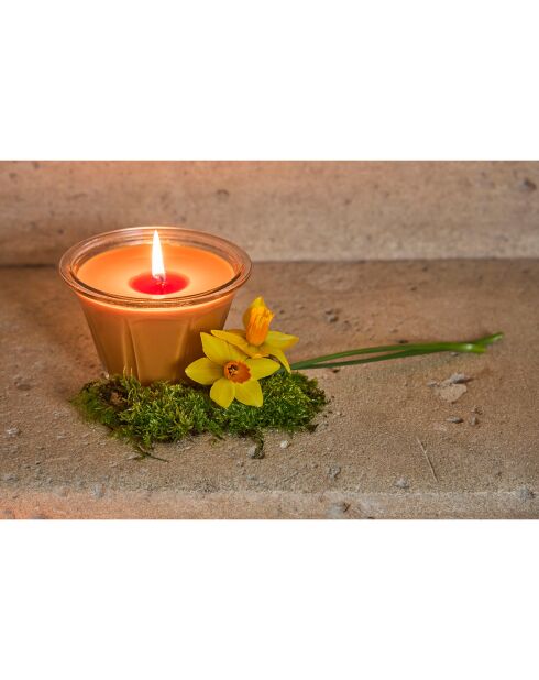 Bougie gourmande senteur cannelle orange naturel  - 220g