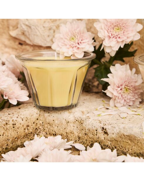 Candela gourmet al profumo di crostata al limone giallo pallido - 220g