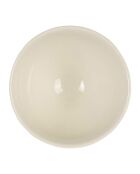 Bol Citron collectionneur  jaune/vert  - 75cl