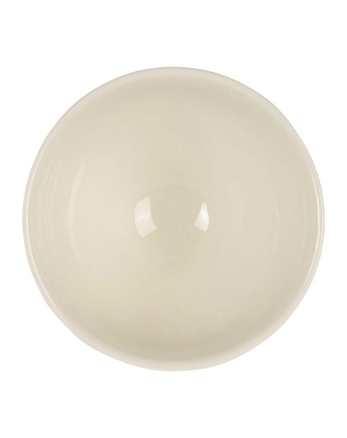 Bol Citron collectionneur  jaune/vert  - 75cl