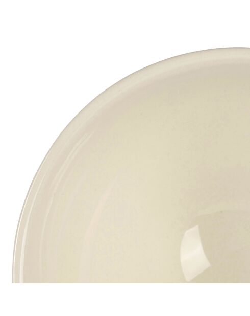 Bol Citron collectionneur  jaune/vert  - 75cl