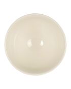 Bol Lapins collectionneur  multicolore  - 75cl