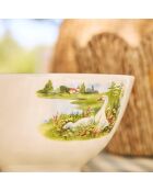 Bol Oie collectionneur multicolore  - 75cl